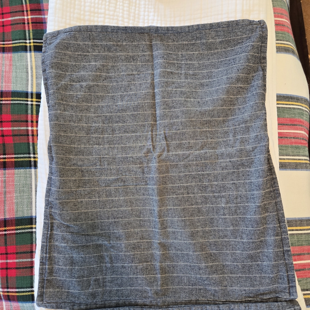 West Elm Blue Striped Sham